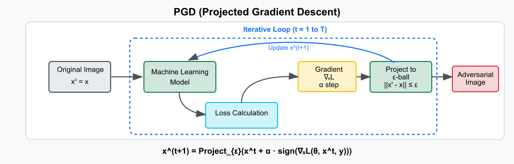 PGD Attack